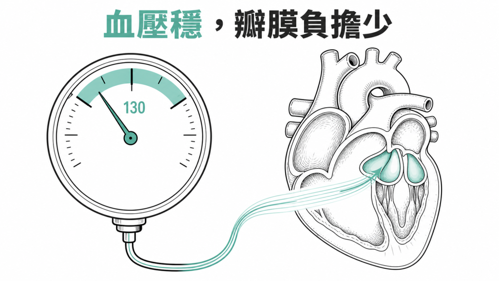 控制收縮壓低於 130 可減輕瓣膜負擔