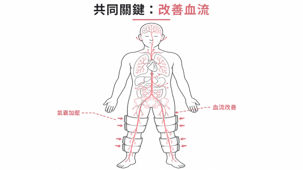 EECP透過改善全身血流,讓腦部、腿部血管、代謝、肺等多個器官系統都被研究受惠的示意圖
