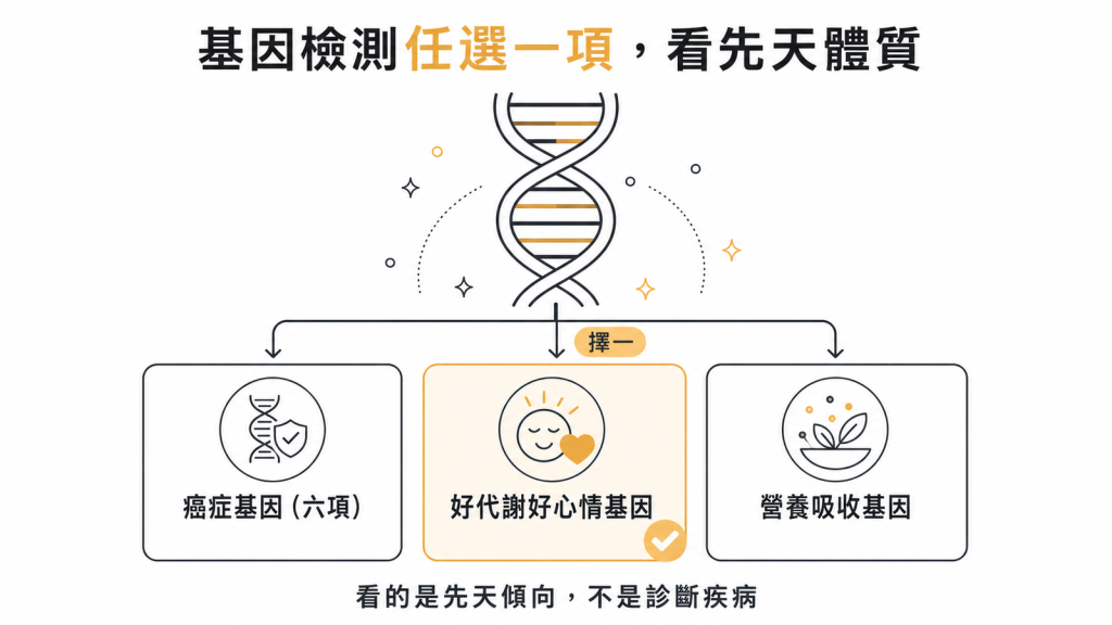 基因檢測任選一項:癌症基因六項、好代謝好心情基因或營養吸收基因,看的是先天傾向不是診斷疾病