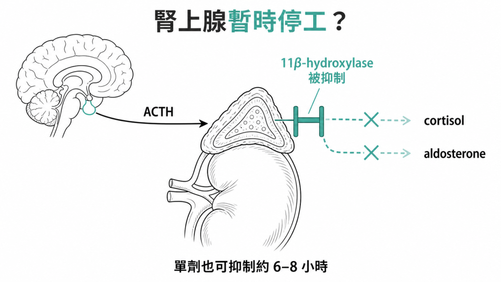 Etomidate 腎上腺抑制機轉:抑制 11β-hydroxylase 使 cortisol 與 aldosterone 合成受阻,單劑也可抑制約 6 到 8 小時