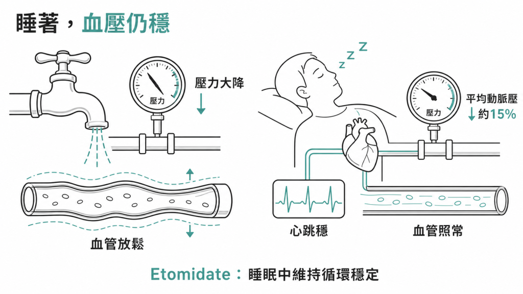 Etomidate 血流動力學穩定示意圖:讓病人睡著的同時心跳與血管張力照常,平均動脈壓最多僅下降約 15%