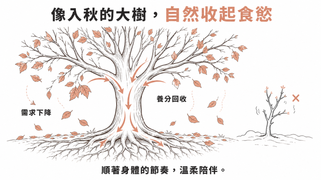 末期失智食慾下降像入秋大樹自然落葉、把養分收回主幹，是身體順應節奏的自然進程