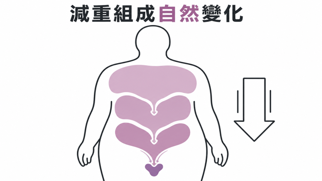 減重時脂肪與無脂肪組織都可能下降示意圖