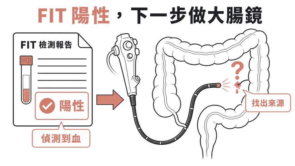 FIT陽性後以大腸鏡找出出血來源示意圖