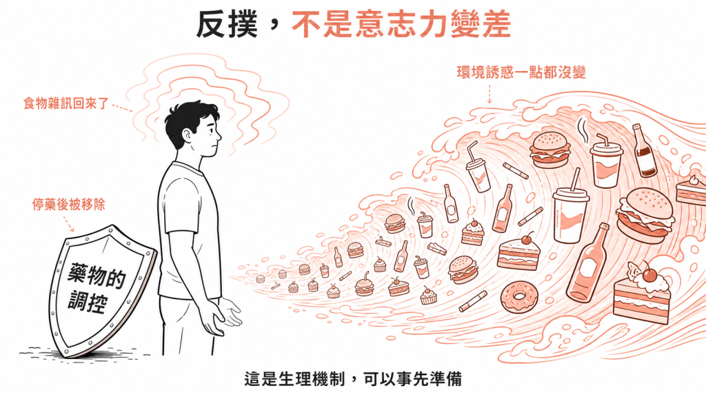 停藥後食物雜訊反撲示意圖:藥物的調控被移除,環境誘惑一點都沒變,這是生理機制不是意志力變差