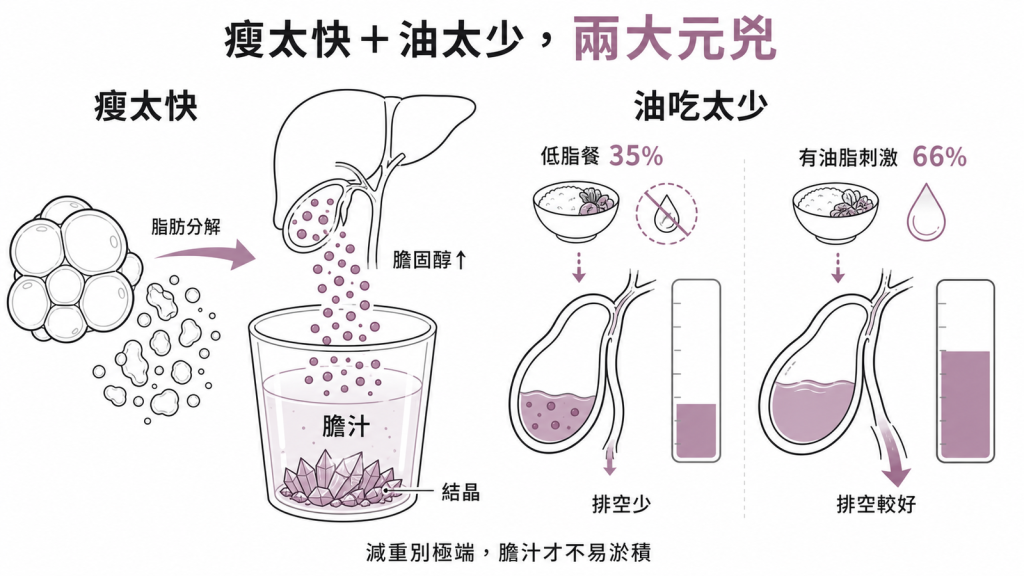 膽結石兩大元兇:瘦太快脂肪分解讓膽汁膽固醇過度飽和析出結晶、油吃太少使膽囊排空僅35%對有油刺激66%造成膽汁淤積