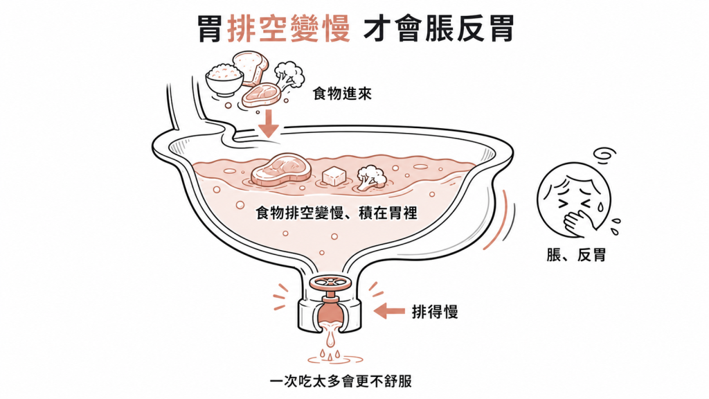 GLP-1讓胃排空變慢，食物積在胃裡像出水變慢的水槽，因而脹氣反胃
