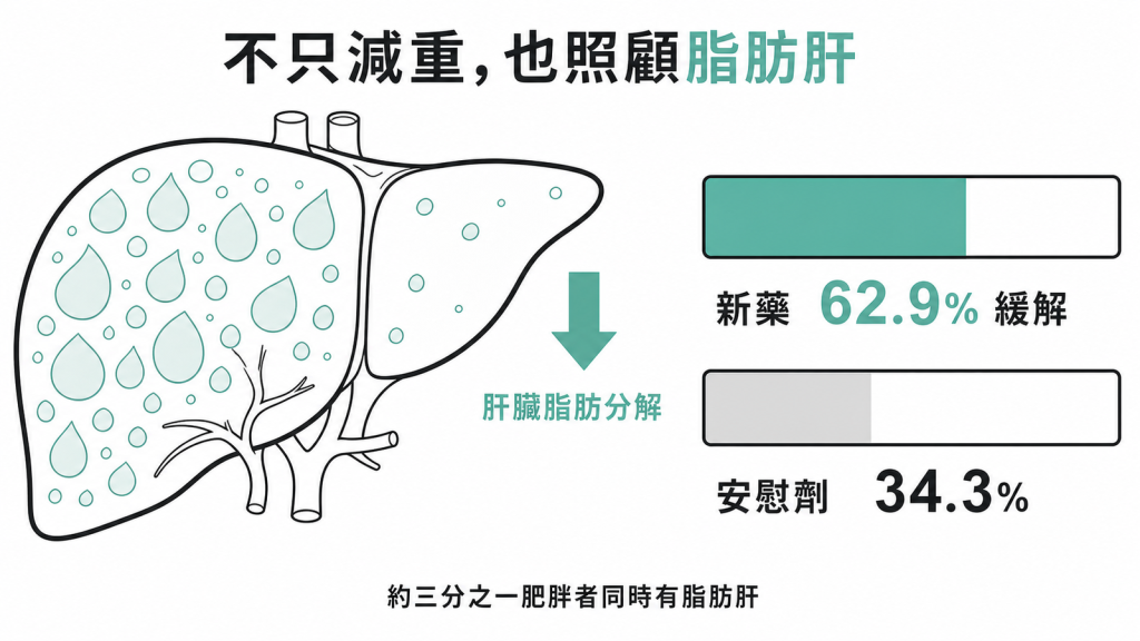 升糖素新藥與脂肪肝示意圖：retatrutide 讓 62.9% 脂肪肝炎緩解，安慰劑組 34.3%