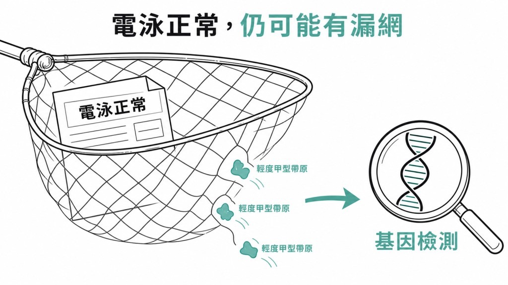 電泳正常仍可能漏掉輕度甲型海洋性貧血帶原
