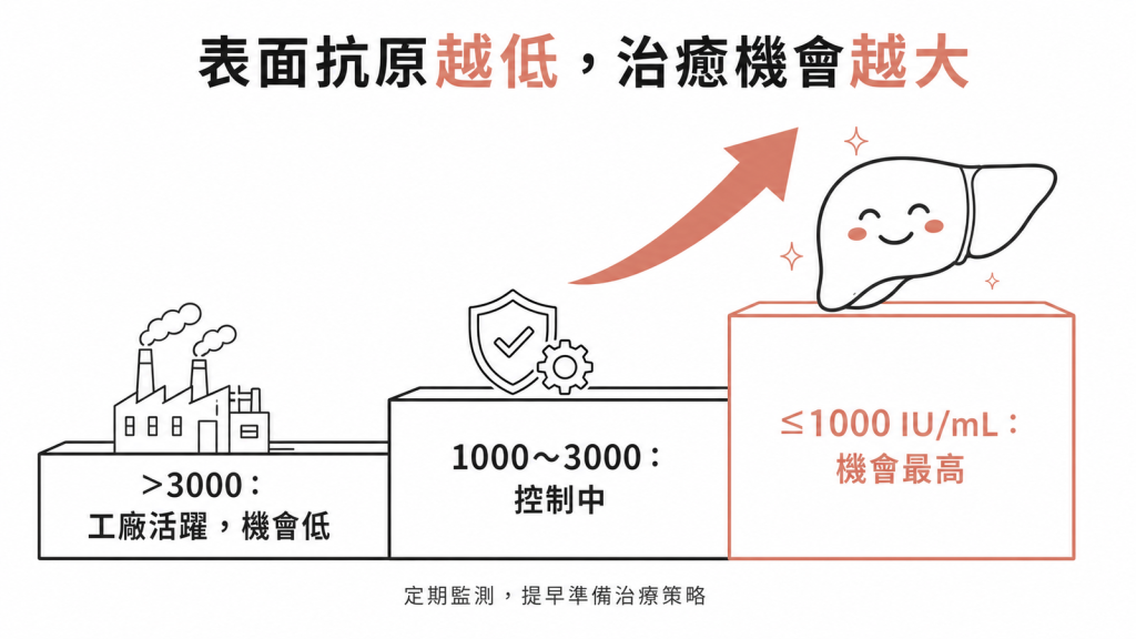 表面抗原數值越低,達到功能性治癒的機會越大