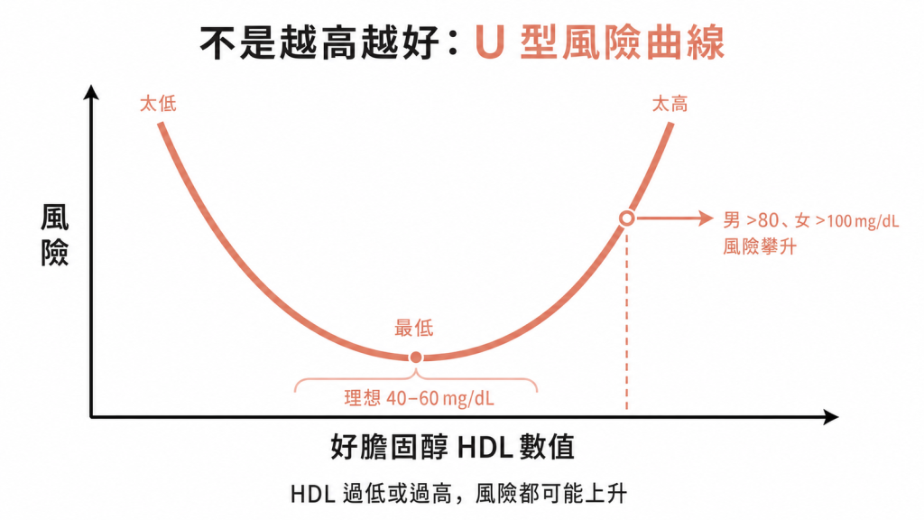 好膽固醇與死亡風險呈U型，理想約40到60mg/dL，太低太高風險都上升，男性大於80、女性大於100風險攀升