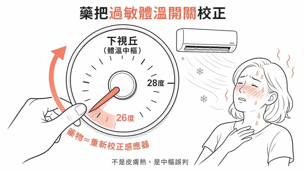 下視丘體溫中樞像被調太敏感的冷氣感應器，非荷爾蒙藥物把它重新校正回合理範圍