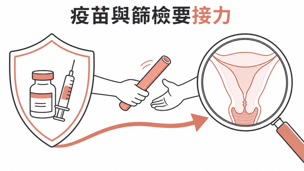 HPV疫苗與篩檢接力示意
