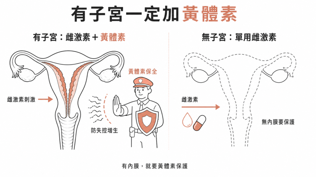 有子宮者補雌激素一定要加黃體素像保全保護子宮內膜防失控增生，已切除子宮則單用雌激素