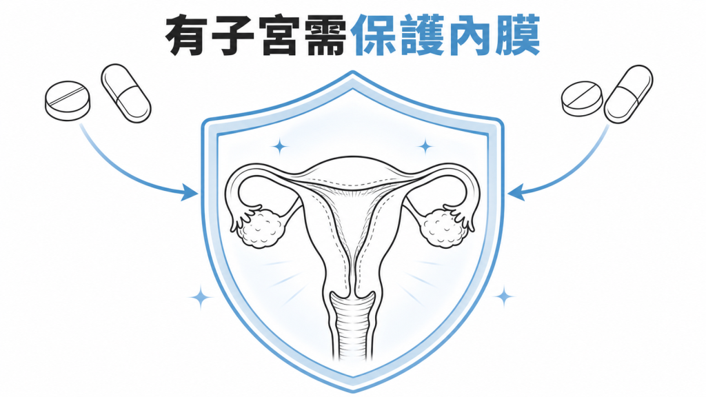 有子宮者使用更年期荷爾蒙治療需搭配黃體素保護內膜的衛教圖