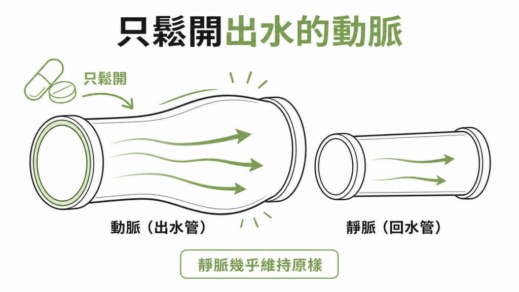 hydralazine主要鬆開出水的動脈讓血管變寬，對回水的靜脈幾乎沒有作用
