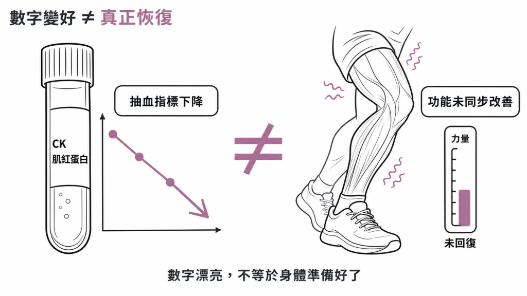 抽血的 CK 與肌紅蛋白下降,不代表肌肉功能已同步恢復
