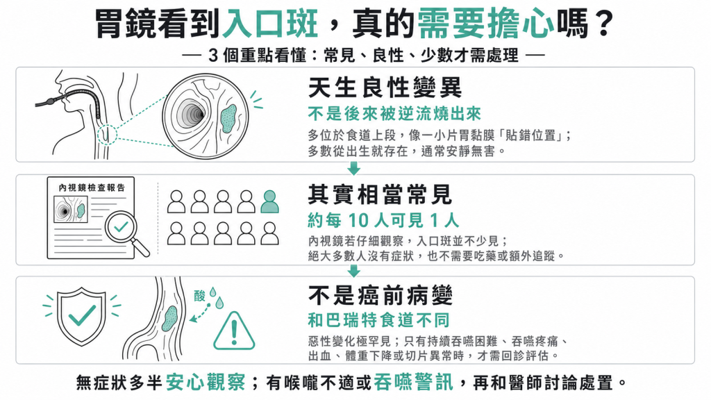 食道異位性胃黏膜(inlet patch 入口斑)衛教資訊圖:天生良性、相當常見、不是癌前病變