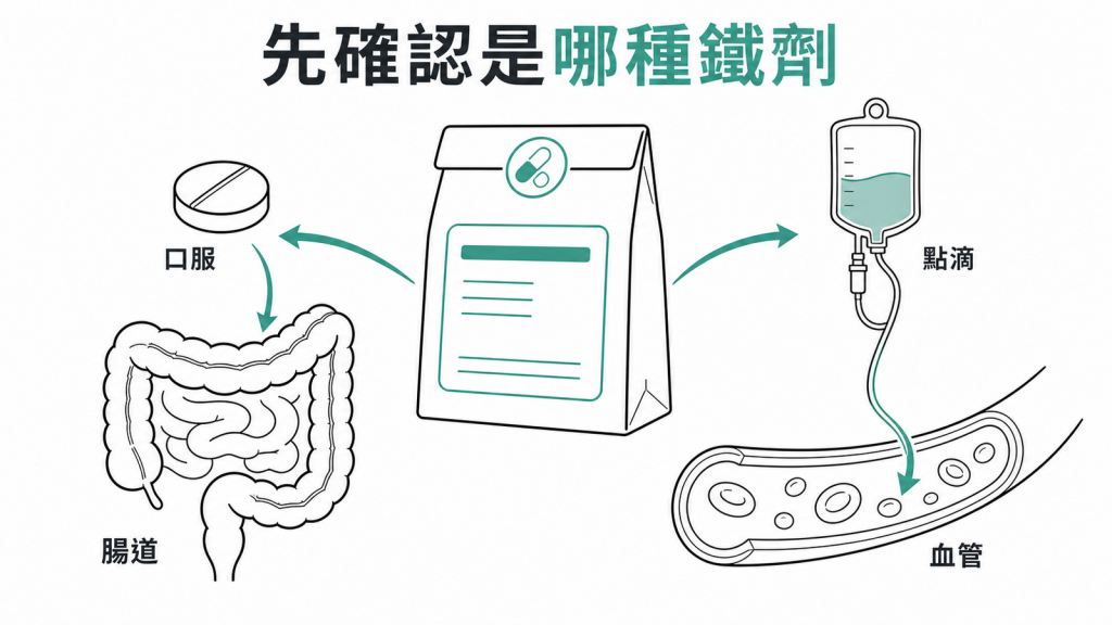 口服鐵劑經過腸道而靜脈鐵劑不經腸道的路徑差異