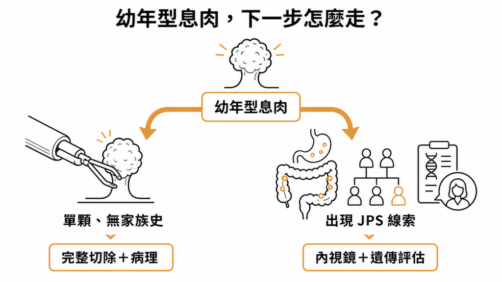 幼年型息肉依顆數位置與家族史分流追蹤示意圖