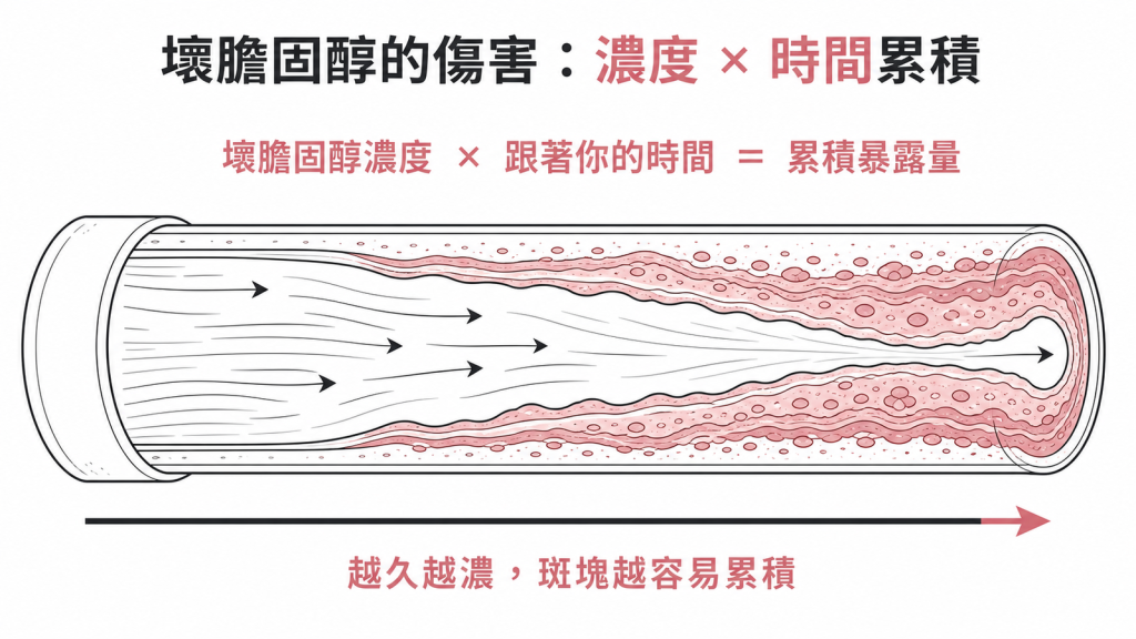 壞膽固醇的傷害是濃度乘以時間累積如水管長年結水垢形成動脈硬化斑塊