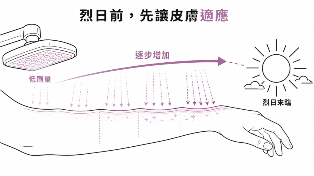 多形性日光疹預防性光療圖:春天烈日來臨前用低劑量紫外線逐步增加,讓皮膚先建立耐受度
