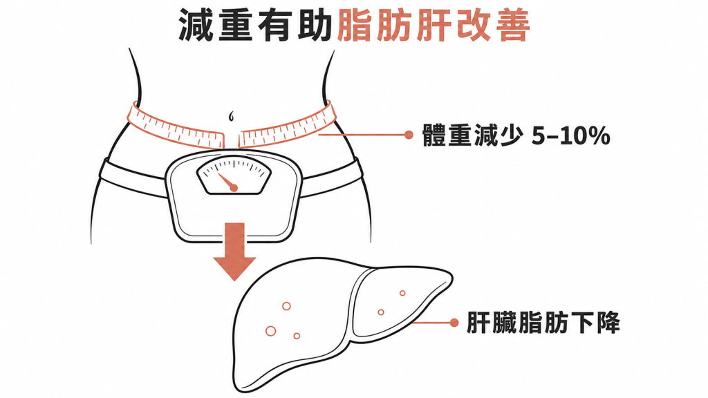 減少百分之五到十體重有助脂肪肝改善