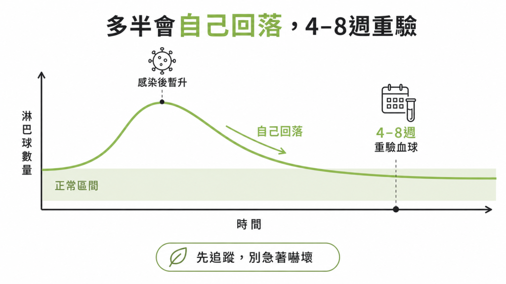 病毒感染後反應性淋巴球增多多半會自己回落最重要的是耐心追蹤4到8週後重驗血球
