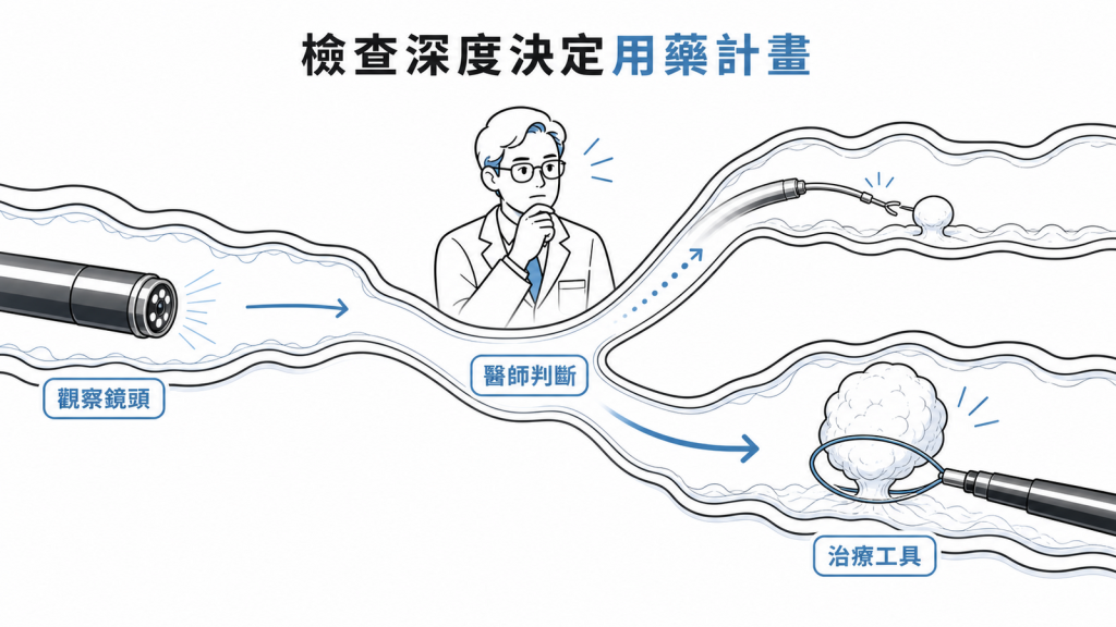 內視鏡檢查風險依處置深度不同