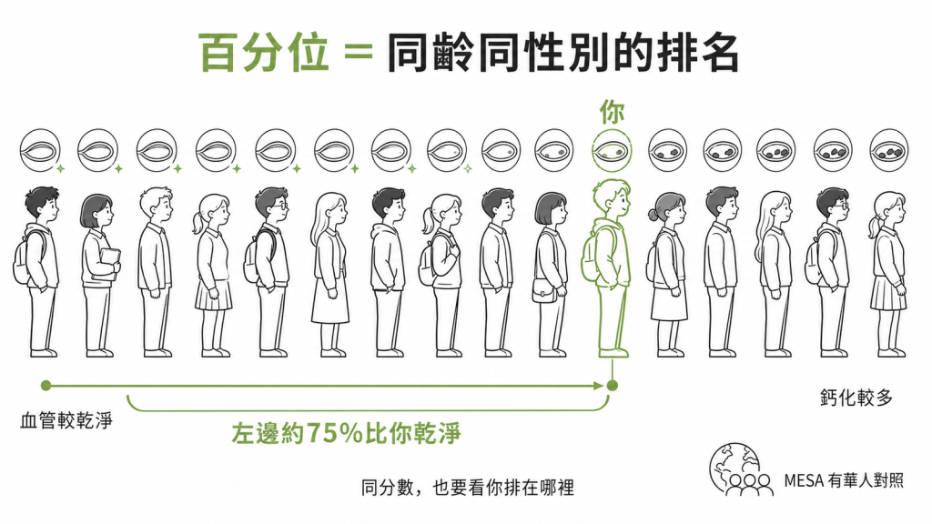 鈣化分數百分位像同齡同性別的排名，第75百分位代表約75%的人血管比你乾淨，MESA有華人對照基礎