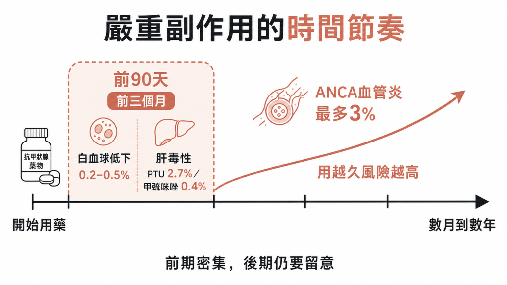 三大嚴重副作用時間節奏：白血球低下0.2-0.5%與肝毒性PTU2.7%甲巰咪唑0.4%集中前90天，ANCA血管炎最多3%可拖到數月到數年