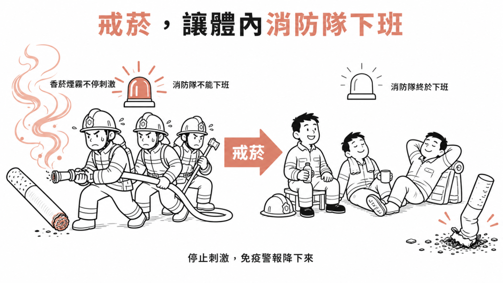 戒菸停止刺激，體內免疫消防隊就能下班，偏高訊號自然降下來