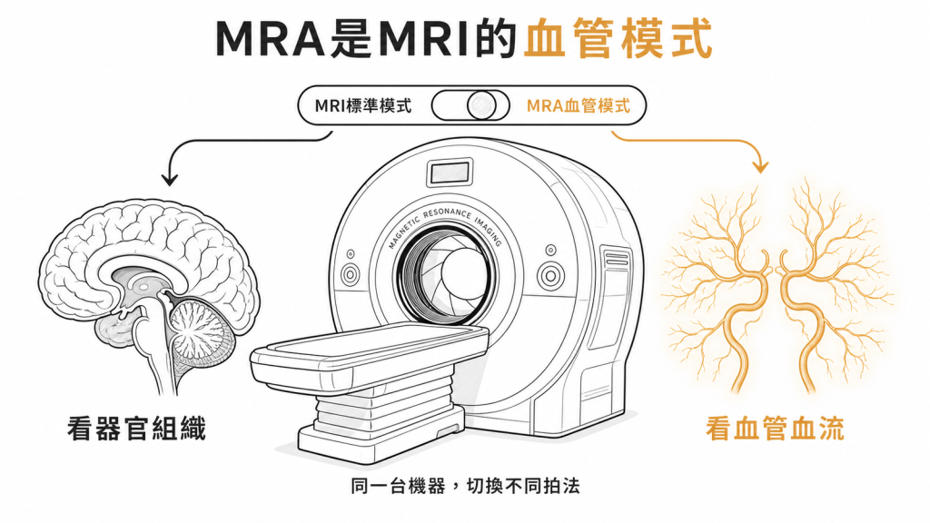 MRA和MRI是同一台磁振造影機器切換不同拍攝程式MRI標準模式看器官組織MRA血管模式看血管血流