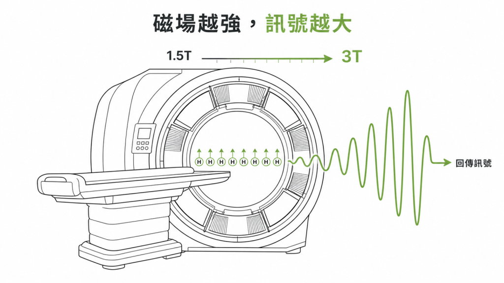 磁場強度從 1.5T 提高到 3T，體內氫原子核回傳的訊號更強