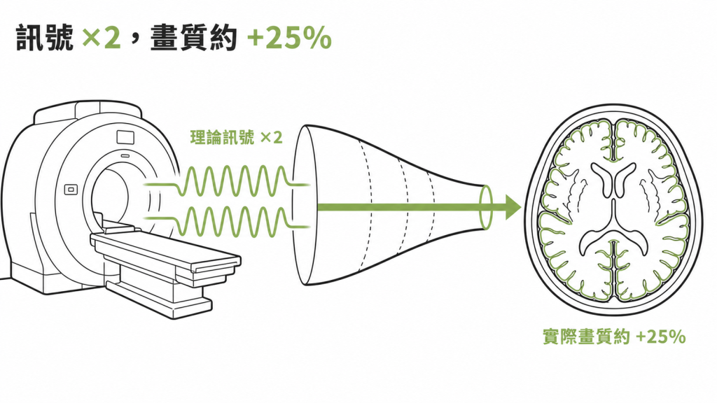 3T 的訊號雜訊比理論上是 1.5T 的兩倍，實際影像品質約提升兩成五