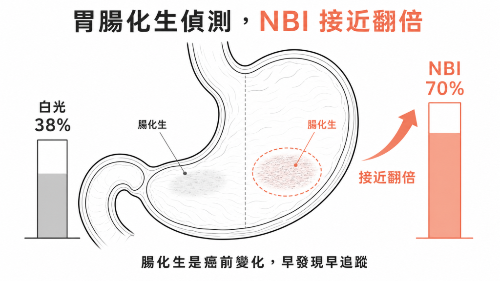 胃腸上皮化生偵測率NBI70百分比白光38百分比接近翻倍是癌前變化