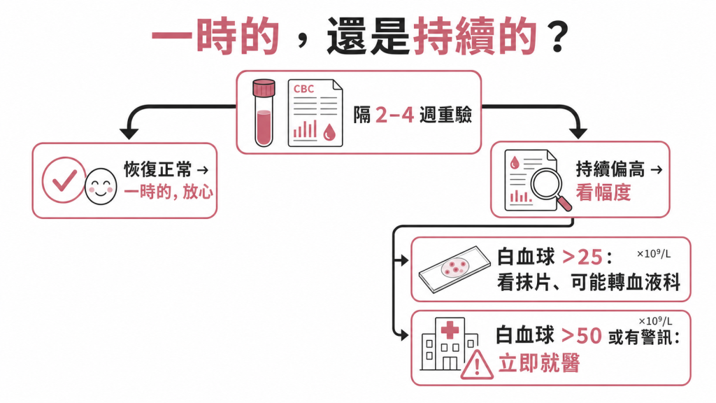 嗜中性球偏高先隔2到4週重驗看趨勢：恢復正常屬一時的；持續偏高看幅度，白血球超過25看抹片、超過50或有警訊立即就醫