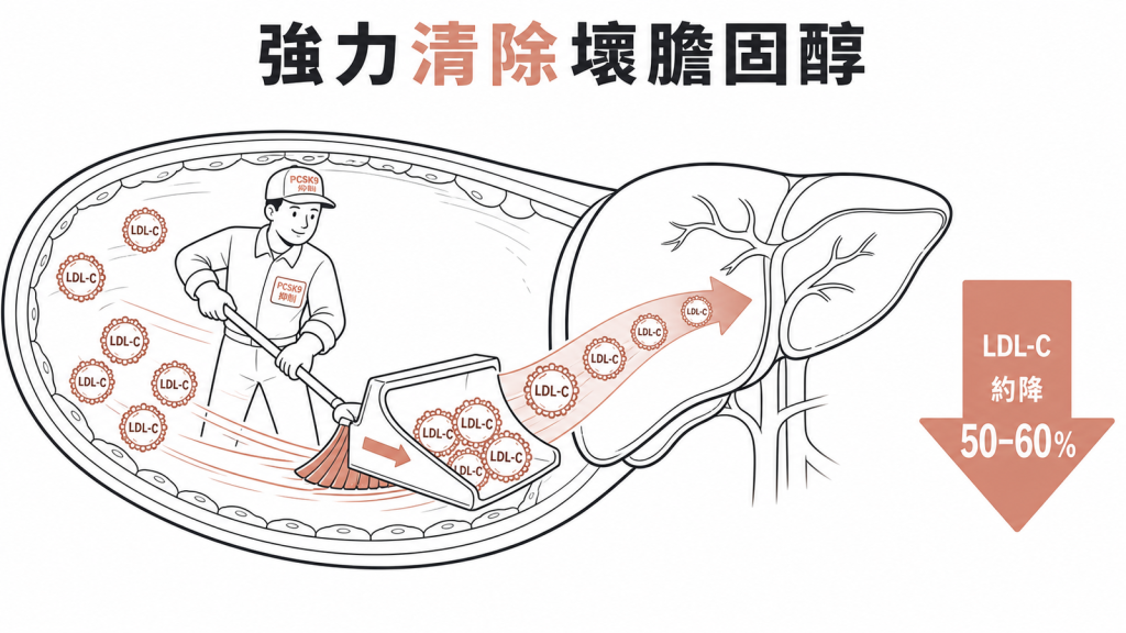PCSK9 抑制劑可使壞膽固醇降低百分之五十到六十