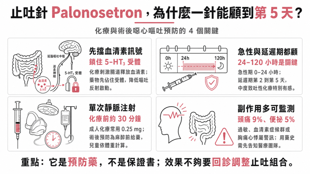 palonosetron 止吐針作用機轉與用法重點資訊圖：鎖住 5-HT3 受體、急性期與延遲期、化療前 30 分鐘給藥、常見副作用