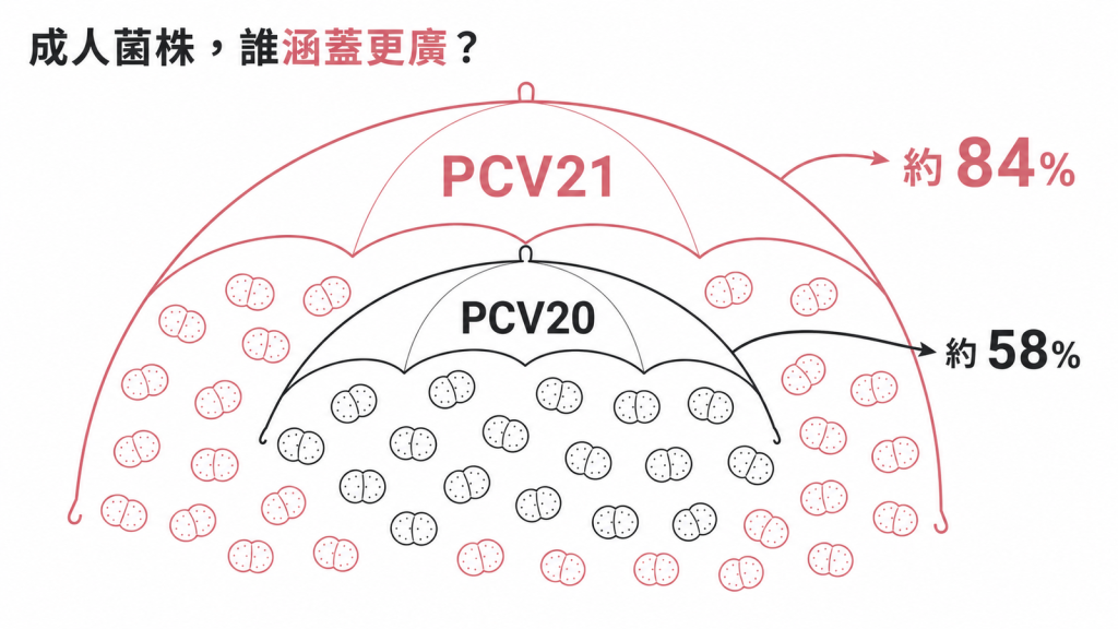 PCV21 涵蓋約 84% 成人致病菌株、PCV20 約 58%，傘狀圖示涵蓋範圍差異