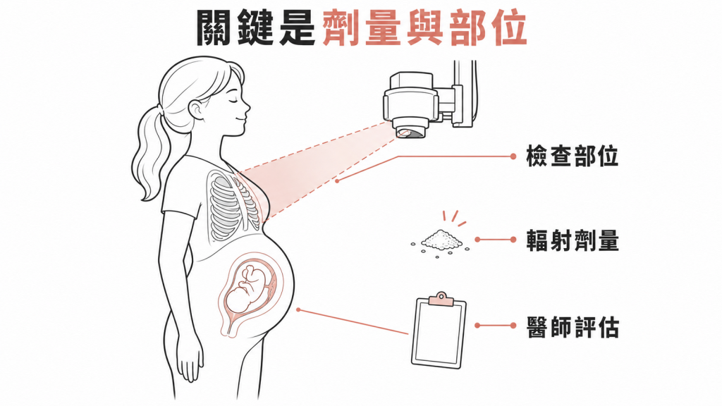影像檢查風險關鍵在輻射劑量與部位