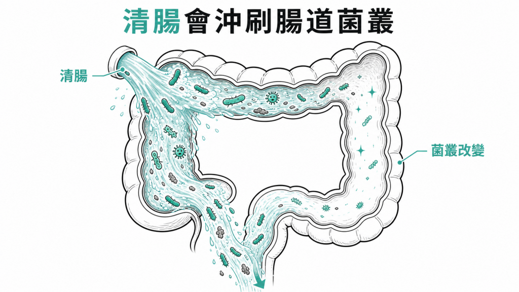 清腸像暴雨沖刷腸道菌叢