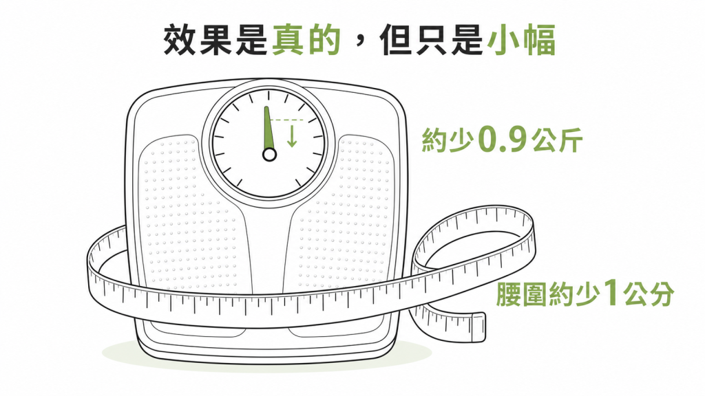益生菌減重效果小而真實:平均體重約少0.9公斤、腰圍約少1公分