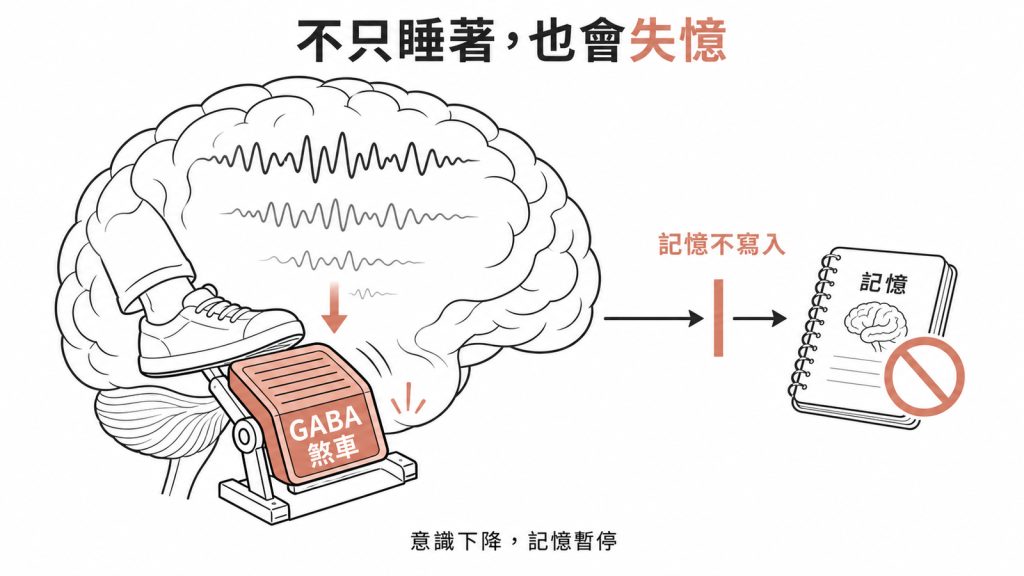 Propofol 作用機轉示意圖：踩下 GABA 煞車讓大腦活動降下來，同時阻止記憶寫入，病人不只睡著也會失憶