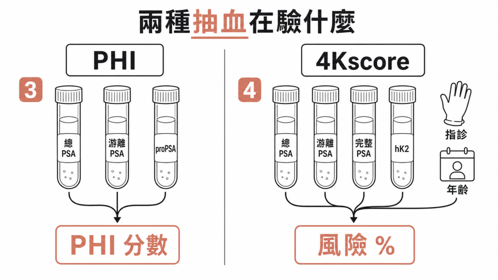 PHI量三種PSA型態合成分數，4Kscore量四種激肽釋放酶加指診年齡算風險百分比