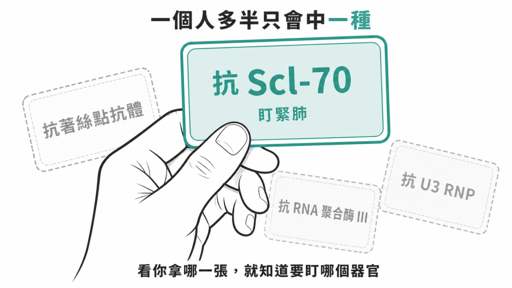 硬皮症自體抗體互斥示意圖:一個人多半只會驗出一種抗體,看拿哪一張就知道要盯哪個器官