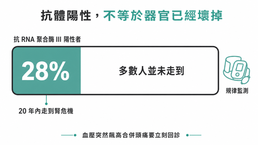抗體陽性不等於器官已壞示意圖:抗 RNA 聚合酶 III 陽性者 20 年腎危機風險 28%,多數人並未走到