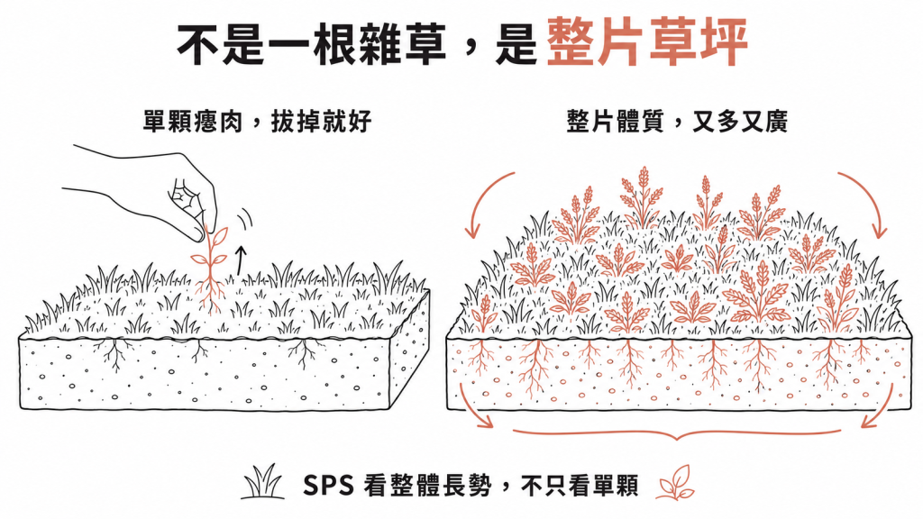 鋸齒狀瘜肉症候群像整片容易長雜草的草坪，看的是整體長勢不只是單顆瘜肉
