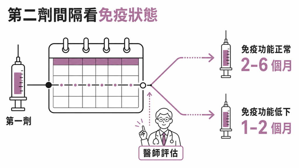 免疫功能正常者第二劑間隔 2 到 6 個月、免疫低下者可縮短為 1 到 2 個月，由醫師評估