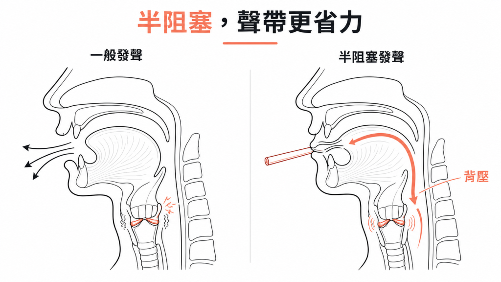 半阻塞發聲產生背壓、幫助聲帶省力震動的聲道剖面示意圖